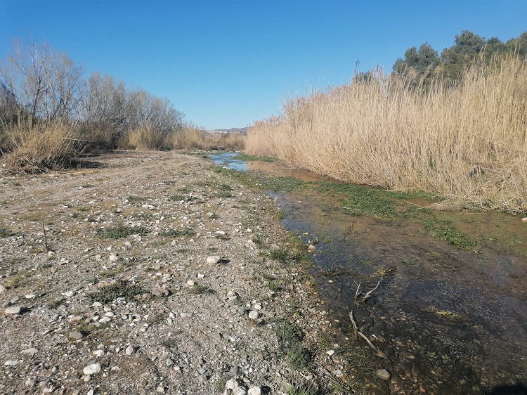 Fotos de la ruta